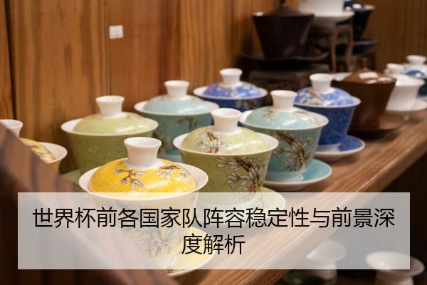 世界杯前各国家队阵容稳定性与前景深度解析